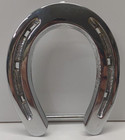 Chrome Horseshoe Belt Buckle Lucky