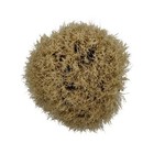Ash Wood Boar Shaving Brush - By Omega  used 
