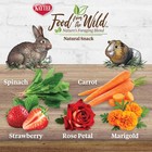 Kaytee Food From The Wild Natural Snack For Rabbits   1 Ounce  pack Of 1 