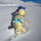 A Lady Seal Figuring