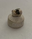 Antique Dental Model Real Tooth W  Cavity   Filling For Training- Early 1900 s