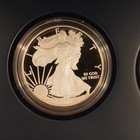 2012-s Us Mint Silver Eagle San Francisco Two Coin Proof Set - Free Shipping Usa