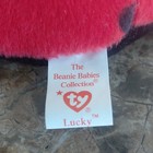 Ty Beanie Babies Lucky Ladybug Plush Bean Bag Toy 1993 Vintage With Errors