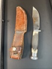 Vintage 1950   s Queen Cutlery Fixed Blade Hunting Knife Bone W matching Sheath 