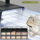 Strobe Lamp Squirrel Repeller For Attic  Speed Control  Animal-friendly Design