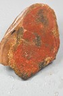Orange Agatized Dinosaur Bone  New Mexico  120 Grams