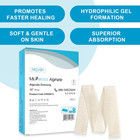 Alginate Wound Dressing Pads Sterile Highly Absorbent Moist Healing Gauze