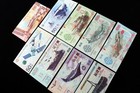 Set  9 Pcs China Aviation  Navigation Military Theme Commemorative Banknote  Unc