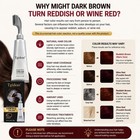 Tgideas Hair Dye Cream Comb With Natural Plant Extract  Root Touch Up Hair Co   