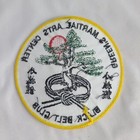 Green s Martial Arts Center 4  Patch Black Belt Club Award Karate Asian Fighting
