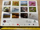 National Park Foundation - 2027 - 16-month Wall Calendar - National Park Shots