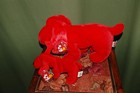 Rover The Red Dog  -  Retired - Ty Beanie Baby And Buddy  -  Mwmt  