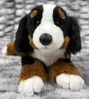       custom       Animal Alley Toys R Us Bernese Mountain Dog Stuffed Plush Essa Read      