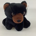 Princess Soft Toys Black Bear 6  Plush Bean Bag Stuffed Toy Vintage 1998 W Tags