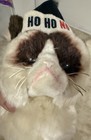 Gund Grumpy Cat Christmas Plush 11   stuffed Animal Ho Ho No Santa Hat Meme