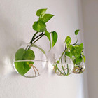 Hanging Wall Planters Pack Of 6 Glass Planter Pots Round Glass Flower Vases Hang