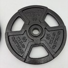 Pair Of Vintage Golds Gym 1    Standard 10lb Weight Plates Powder Coated W grip