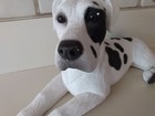 K-9 Kreations Large 11 w X 6  Tall Great Dane Heavy Figurine Statue Realistic
