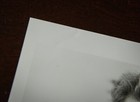  a Perfect World   1993  Movie Press Kit Photo - Kevin Costner  T  J  Lowther