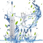 Electric Toothbrush Adults   5 Modes   4 Brush Heads Rechargeable   Long Battery