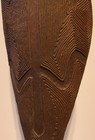 Cast Of Famous 19th Century Nsw Broad Shield From Museum Victoria  Collection