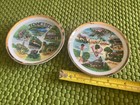 2 Vintage Souvenir Collector Plates South Carolina   Tennessee Made In Japan