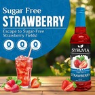 Syruvia Sugar Free Strawberry Syrup 25 4 Fl Oz  For Drinks  Desserts   More