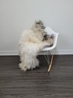 Icelandic Sheepskin Rug   Sheepskin Rug   Soft Silky Long Wool  c137