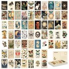 Vintage Postcard Set 64 Pieces 4x6 Inches Retro Botanical Butterfly Ephemera