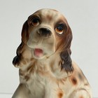 Vintage Lefton Dog Sculpture Small Made In Japan Ceramic Cocker Spaniel
