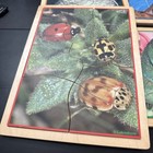 Lakeshore Learning Animals Up Close Wooden Puzzles Fish Tiger Owl Lizard