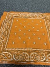 True Vintage Bandana Orange Color Fast 1960s Pasiley Graphic Hankerchief