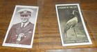 Lot Of 11 Antique Vintage Cigarette Tobacco Cards