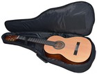Guitar Nylon Soft Strings  Spruce Case  canadian Brand 