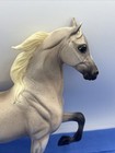 Breyer National Show Horse  1326 Color Crazy Mare Only Grey Rejoice