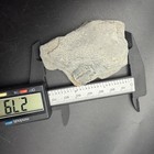 Trilobite Fossil In Matrix Species And Locality Unknown 2 79   