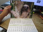 New 2026 Wall Calendar Wildlife Wild Animals Elephant Tiger Polar Bear Rhinos  