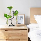 Plant Propagation Station Set Glass Vase Desktop Planter Black New