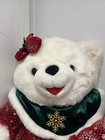 2003 Dan Dee Snowflake 22    Stuffed Teddy Bear Boy Girl Set Holiday Christmas Lot