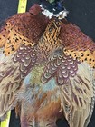 Rooster Ringneck Pheasant Skin 2 Wings Tail Fly Tying Materials Craft Feathers