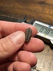Beautiful Natural Hadrosaur Tooth Dinosaur Fossil Judith River Formation Mt