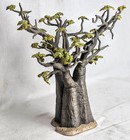 Schleich African Baobab Tree 2006  Very Rare 12  Tall