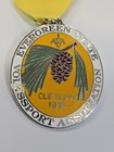 Ivv Ava Medal Pin Volkssport Walking Club Cle Elum 1985 Evergreen Wanderers 