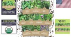 Organic Herb Seeds Variety Pack - 10 Individual Packs - 2025 Season - Basil  Cil