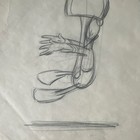 Original Production Donald Duck Drawing Sketch Animation Art Vintage  29