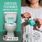 Flushable Wipes  Individually Wrapped  Unscented  90 Count with Cucumber 