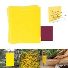 Lot 10-30 Sticky Fly Trap Paper Yellow Traps Fruit Flies Insect Glue Catcher Usa