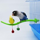 Pet Bird Toy Bird Perch Playing Cage Accessories With Interactive Bird Parrot