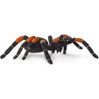 Orange Kneed Tarantula Spider Figure - Hand Painted Toy - Safari Ltd 542006