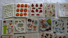 Huge Lot 210  the Paper Studio  Misc Size Packs   Sheets New Crafting Stickers